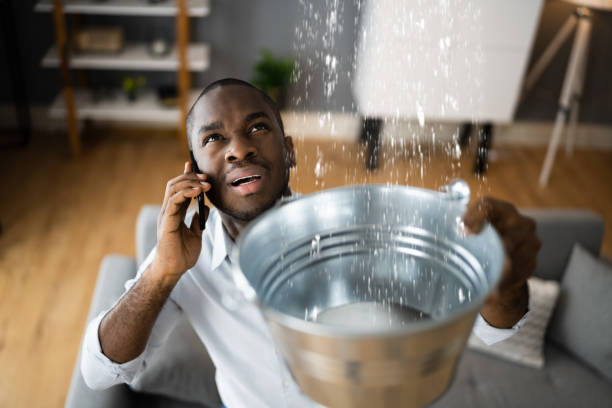 Best Water damage restoration near me  in Shawano, WI