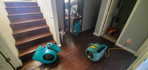 Best Sewage cleanup and water damage restoration  in Shawano, WI