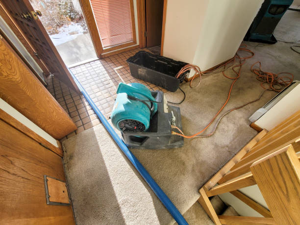 Best Water damage restoration specialists  in Shawano, WI