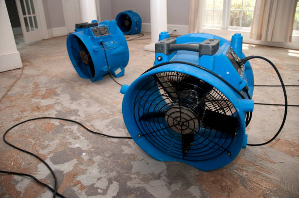 Best Carpet water damage restoration  in Shawano, WI