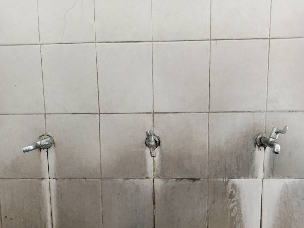 Trusted Shawano, WI Water damage restoration Experts